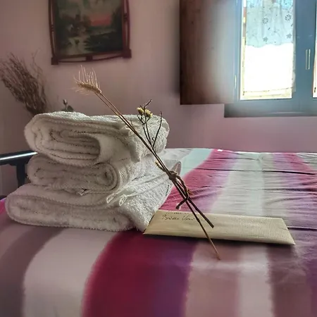 شاليه Casa Cosialls بينابر